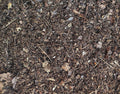Substrat Naturel pour Invertébrés