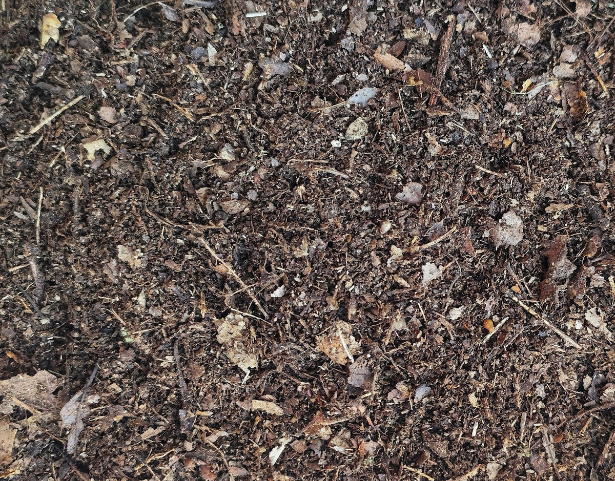 Substrat Naturel pour Invertébrés